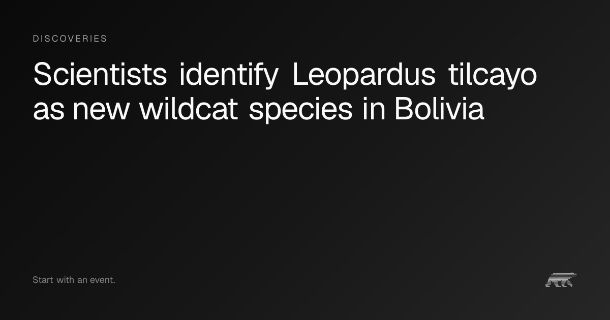 Scientists identify Leopardus tilcayo as new wildcat species in Bolivia ...