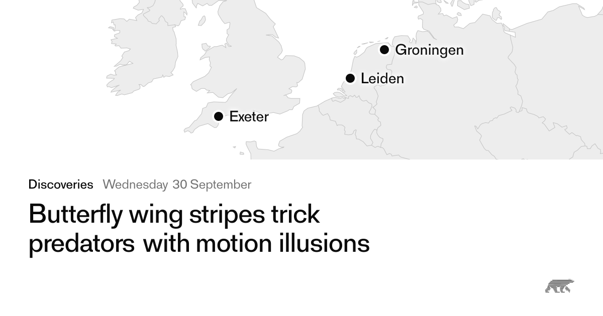 Butterfly wing stripes trick predators with motion illusions · Pollar