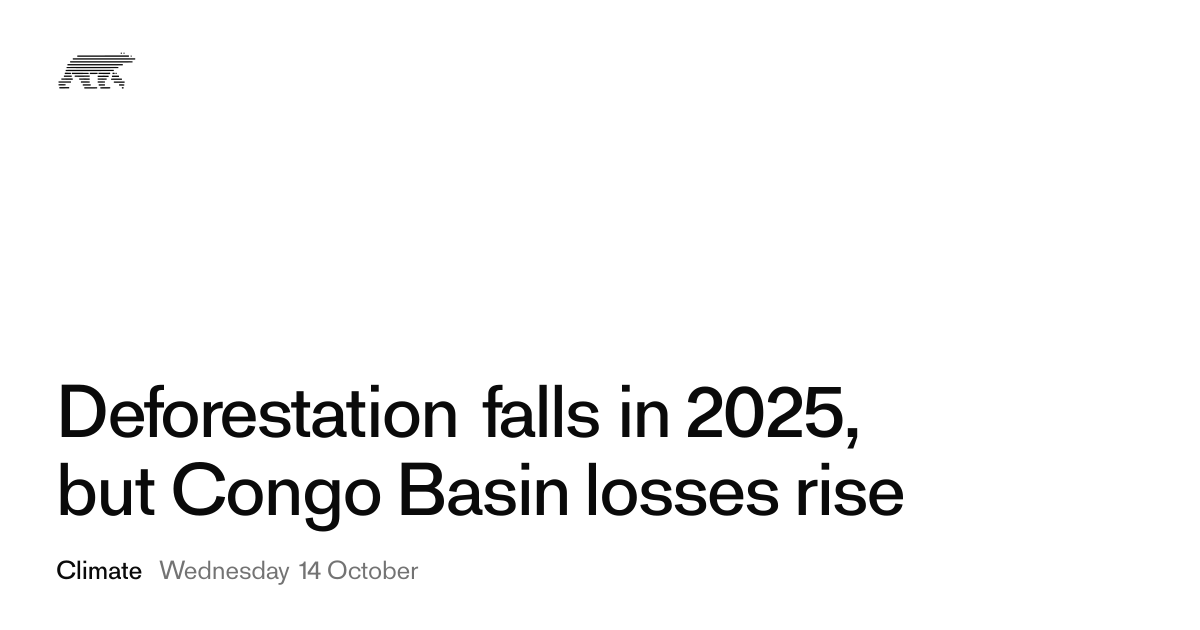 Deforestation falls in 2025, but Congo Basin losses rise · Pollar