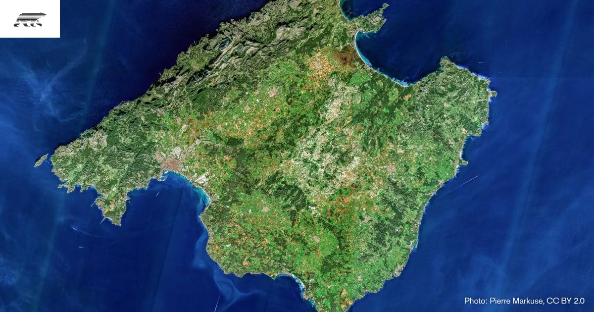 German rally driver dies in Mallorca ravine crash · Pollar
