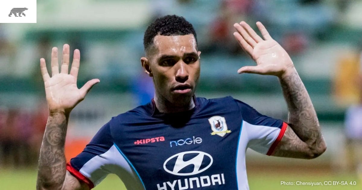Jermaine Pennant needs 50 stitches after German Shepherd attack