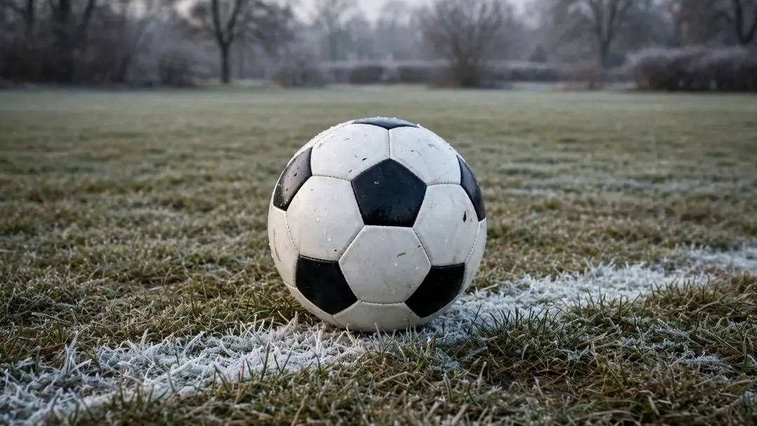 Coventry crush Newcastle 4-1 to climb out of the Premier League relegation zone
