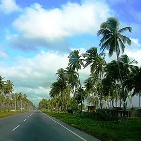 Morón