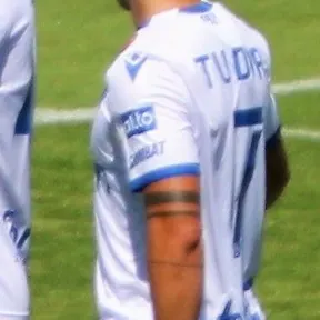 Fran Tudor