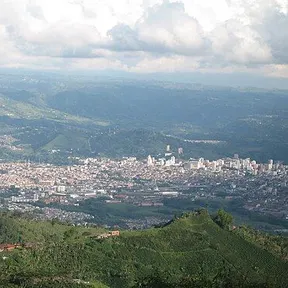 Pereira