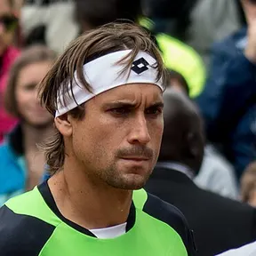 David Ferrer