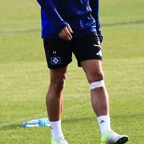 Ludovit Reis