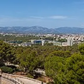 Palma