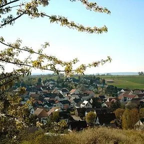 Traisen