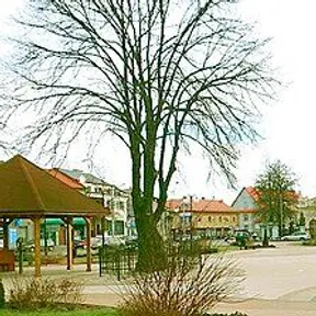 Szczucin