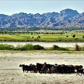 Lakki Marwat