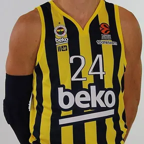Jan Veselý