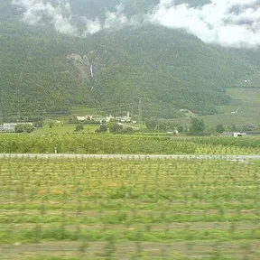 Écône