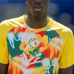 Assane Diao