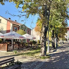 Nisko