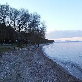 Dilesi
