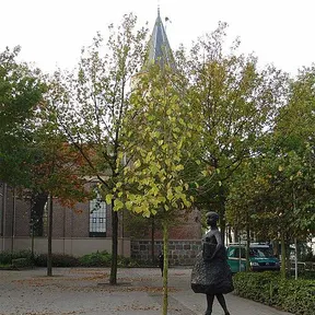 Emmen