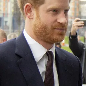 Prince Harry, Duke of Sussex