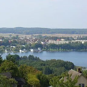 Chodzież