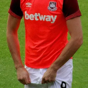 Andy Carroll