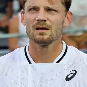 David Goffin