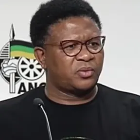 Fikile Mbalula