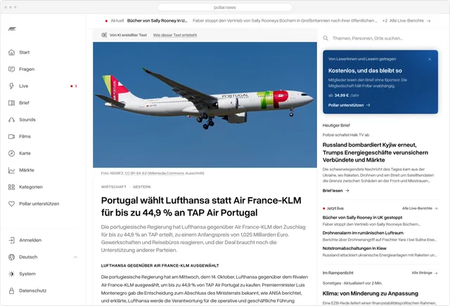 Artikel, Web
